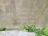 image of grave number 719776